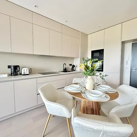 New Modern, River View Apt Near City Center 布拉格